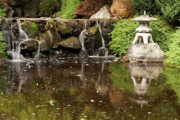 Japanese garden (12)